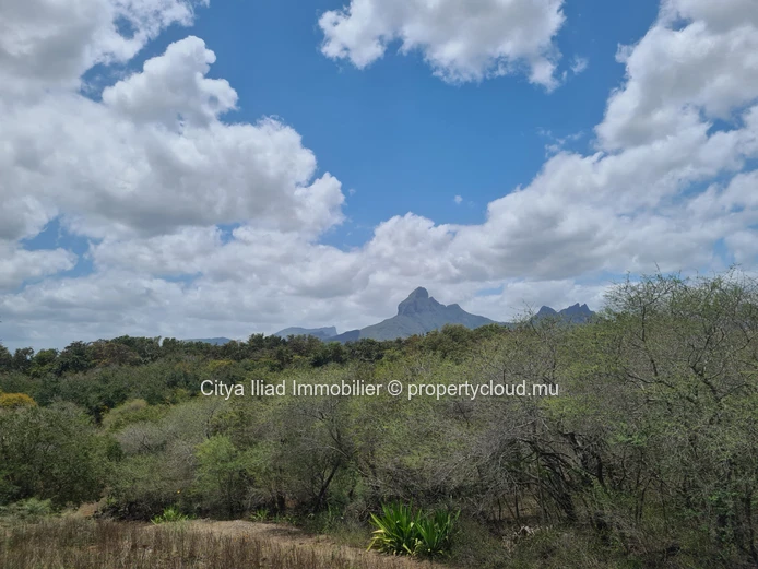 Terrain résidentiel à vendre à Tamarin, 29.546m², caractéristiques générales LP, proche hôpital et magasins €.