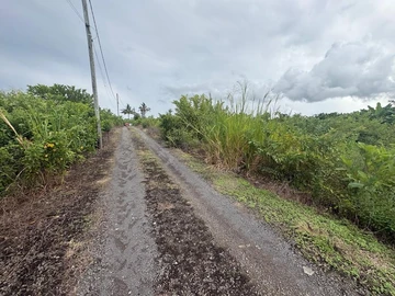 Residential Land