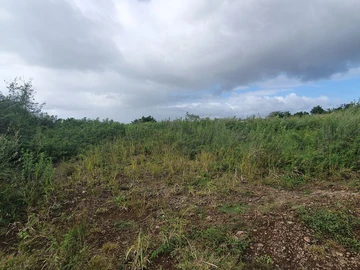 Residential Land