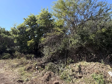 Residential Land