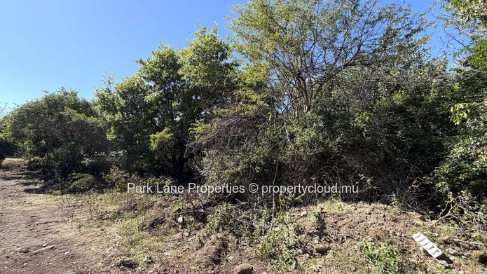 Terrain résidentiel exclusif à vendre avec une vue sublime sur la Montagne