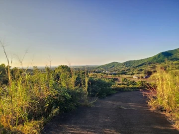 Land