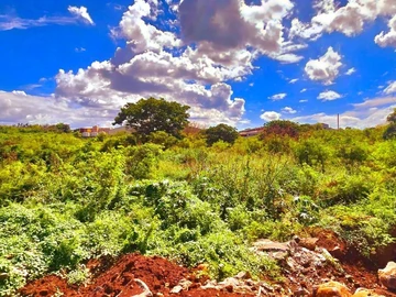 Commercial Land