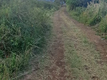 Residential Land