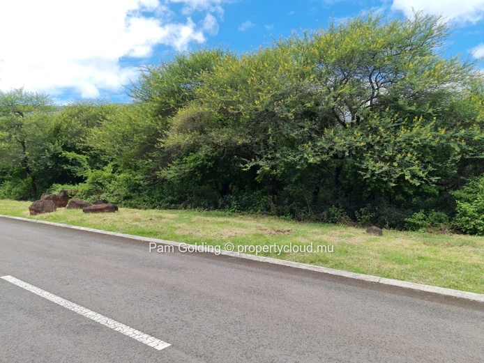 Land for sale in Petite Riviere Noire