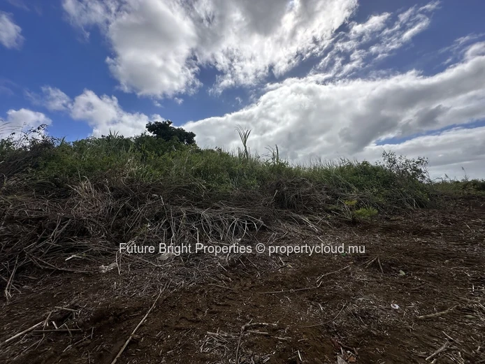 206 perches Agricultural Land for Sale in Providence Quartier Militaire.