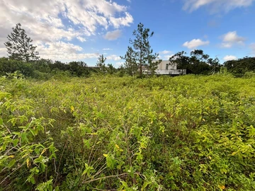 Residential Land