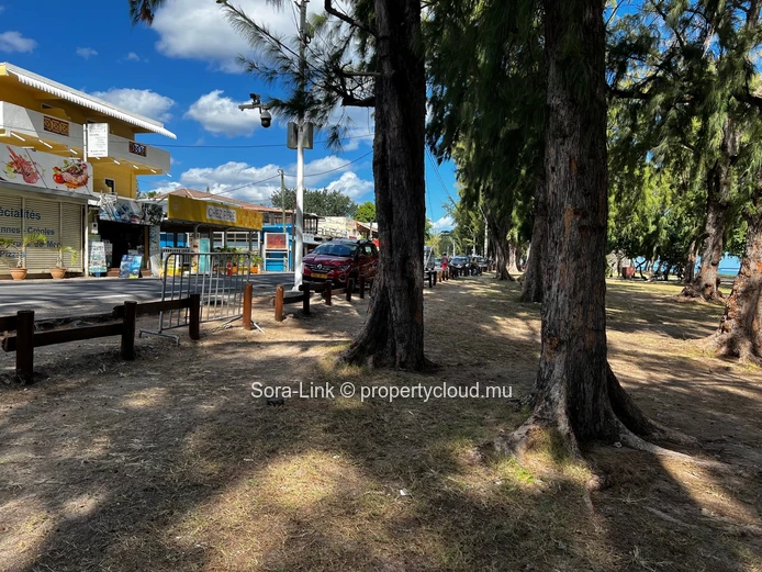 Beautiful apartment close to Flic en Flac beach 
