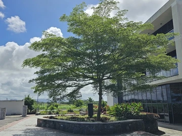 Luminous fitted office space in a green business hub 
