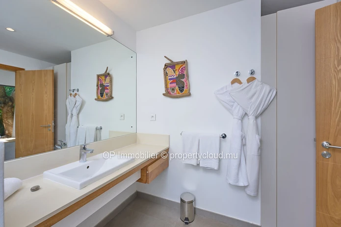 Luxury 4-Bedroom PDS Villa with Private Pool in Grand Gaube