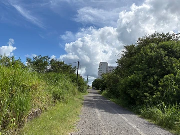 Commercial Land