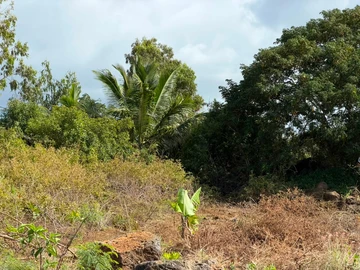 Residential Land