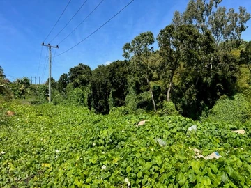 Residential Land