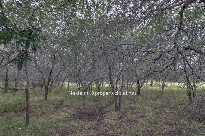 Exclusive residential plot in Belouguet – 2,150 m² (50 perches)  