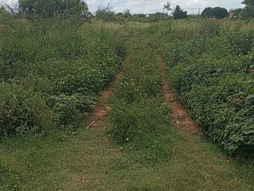 Residential Land