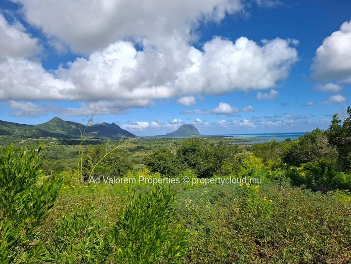 À Vendre – Terrain d’Exception de 4 431 m² à Petite Rivière Noire