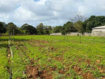 Residential Land