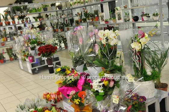 Vends magasin fleuriste