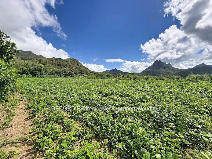 Rare sur le marché – Terrain agricole spacieux