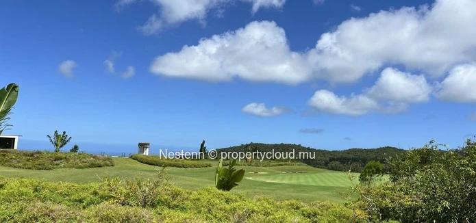 Terrain de 2,321m2 près d'une rivière 
