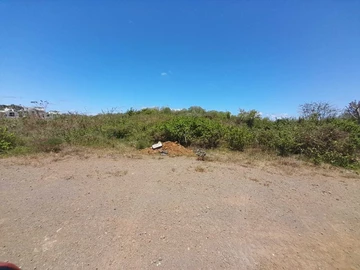 Agricultural Land