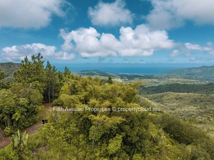 PLAINE CHAMPAGNE - TERRAIN  8900m2  COMMERCIAL