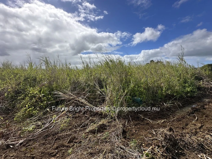 206 perches Agricultural Land for Sale in Providence Quartier Militaire.