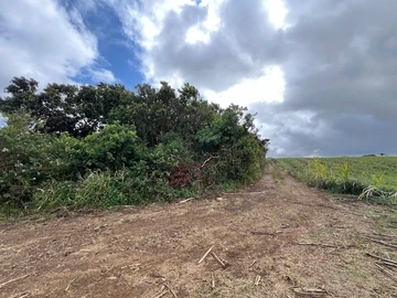 Terrain Agricole