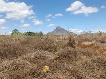 Terrain Résidentiel