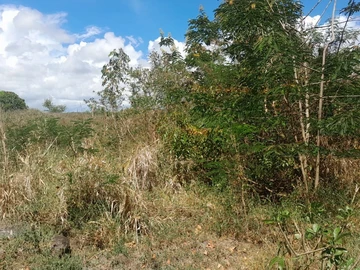 Terrain