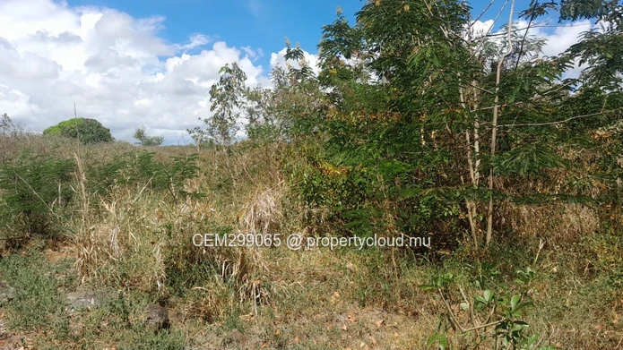 Terrain de 13.32 arpent à vendre à Panchavati - Île d’Ambre