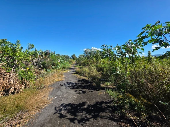 Residential Land