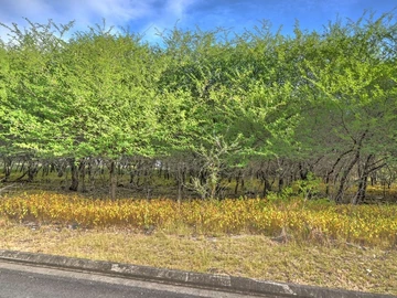 Residential Land