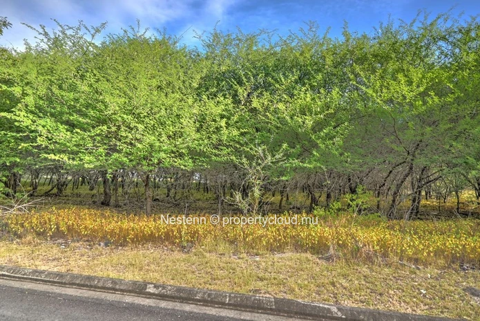 Exceptional plot of land of 2,167.66 m² – Highly sought-after gated community 
