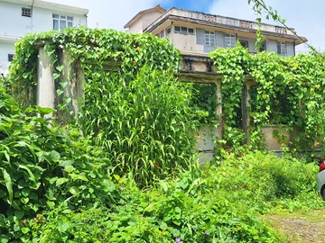 Terrain Résidentiel