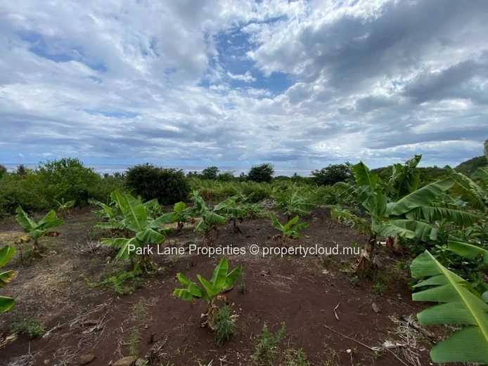 Large plot for future development
