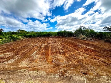 Agricultural Land