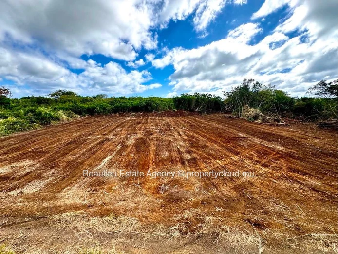Parcelle agricole à vendre – Réunion Maurel, Petit Raffray