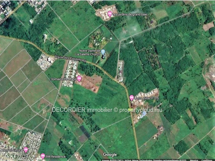 A vendre terrain agricole de 3.5 Arpents – Mont Mascal - Grand Baie