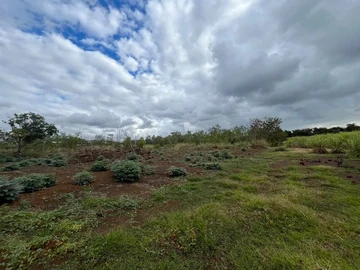 Terrain Agricole