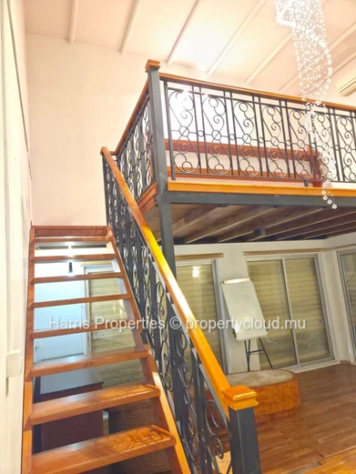 Penthouse Polyvalent / Espace De Bureau À Vendre