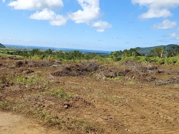 Agricultural Land