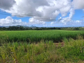 Agricultural Land