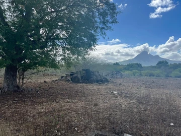 Residential Land