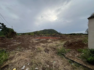 Terrain