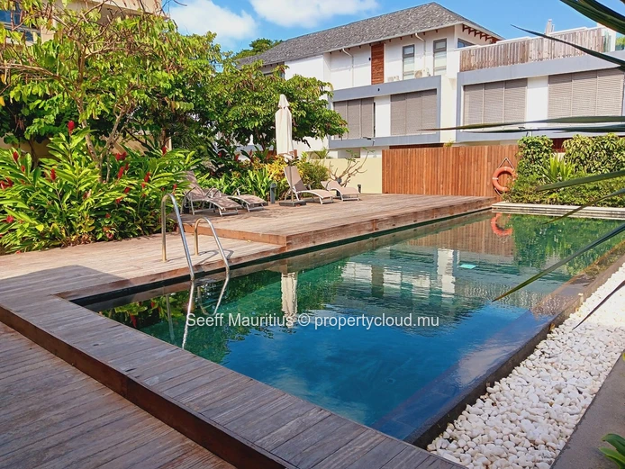Luxurious Beachfront Living