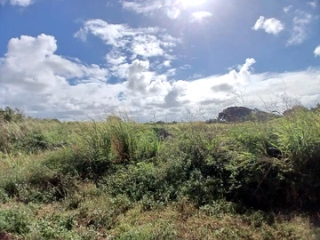 Terrain Agricole