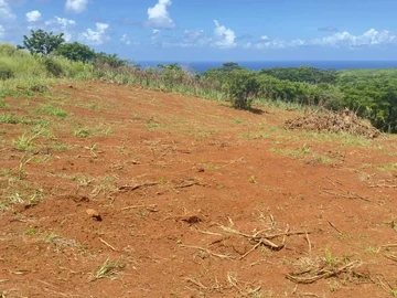 Terrain