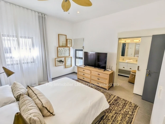 Spacious 320 m² Combo furnished Apartment for Rent at Résidence St. Antoine