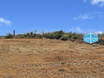 Terrain
